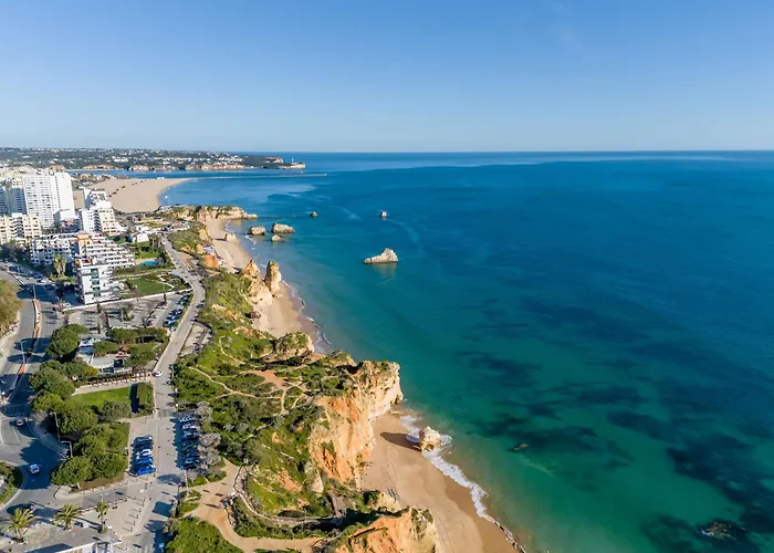 Pt Lux Collection At Oa *